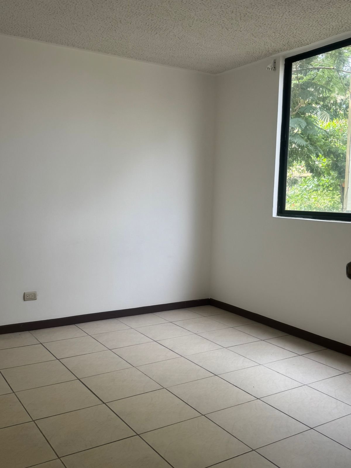 WhatsApp Image 2026-03-15 at 09.49.48